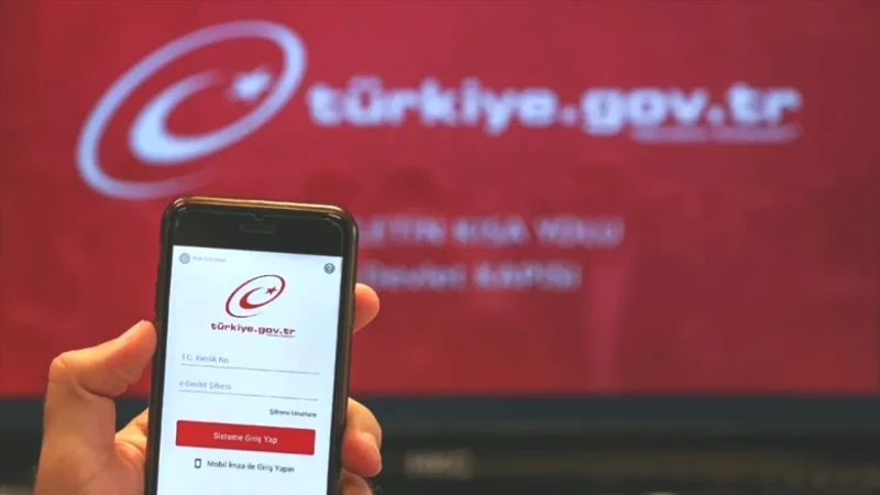 e-Devlet Sistemi Çöktü mü? 24 Mart Giriş Sorunları ve Çözüm Önerileri!